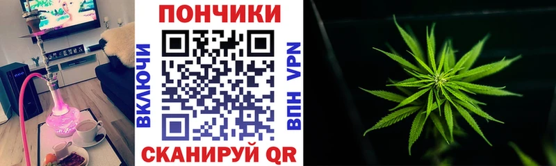 Канабис ГИДРОПОН  Инза 